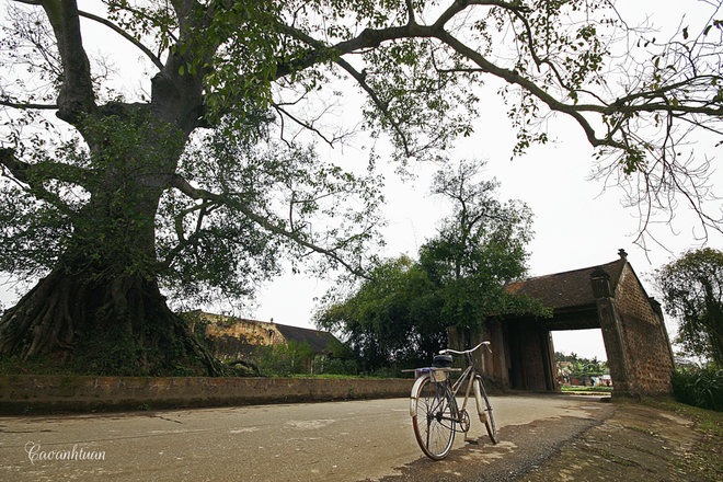 Ancient characteristics in Duong Lam village
